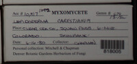 Image Associated With the Occurence